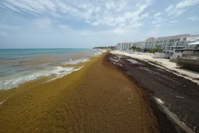 Record-breaking sargassum invasion in Atlantic, Caribbean threatens to foul beach resorts