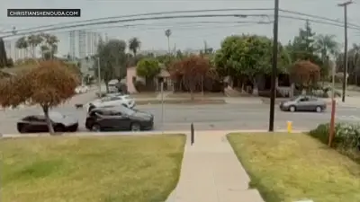 Waymo self-driving car stops moments before hitting runaway dog