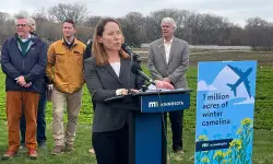 A new Minnesota cover crop could help make air travel greener, UMN St. Paul researchers say