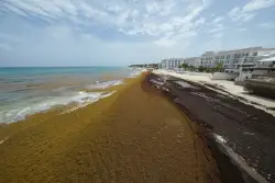 Record-breaking sargassum invasion in Atlantic, Caribbean threatens to foul beach resorts