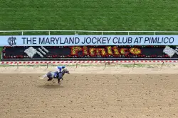 2025 Preakness Stakes picks: Two long shots with upside at Pimlico