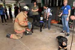 Guide dogs in training get socialized at Montgomery Co. rescue squad station